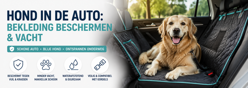 Hond in de Auto: Bekleding Beschermen & Vacht