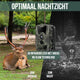 Strex Wildcamera met WiFi en Nachtzicht - 120MP 4K ULTRA HD - Waterdicht - Incl. 32 GB SD - Wild Camera